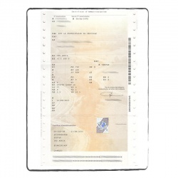 Certificat immatriculation recto FR
