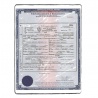 Traducción jurada certificado de nacimiento | ACSTraduction tienda en línea