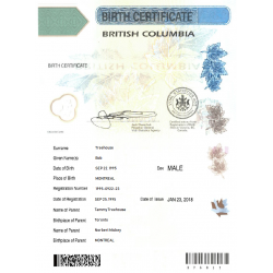 Traducción jurada certificado de nacimiento | ACSTraduction tienda en línea