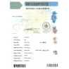 Traducción jurada certificado de nacimiento | ACSTraduction tienda en línea