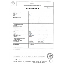 Traducción jurada certificado de nacimiento | ACSTraduction tienda en línea