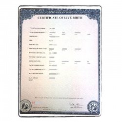 Acte de naissance USA standard simple