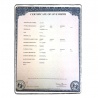 Acte de naissance USA standard simple